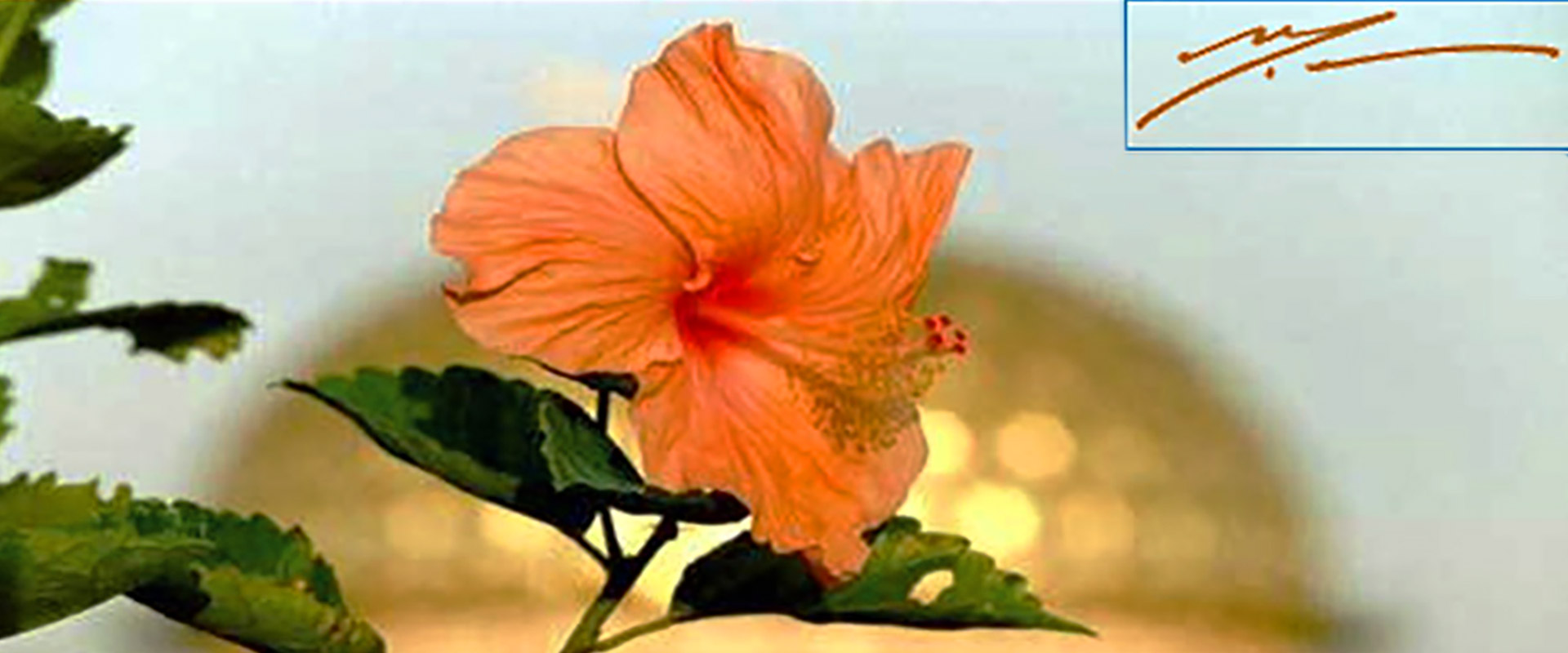 The Mother's Birthday